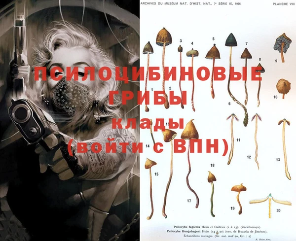экстази Медвежьегорск