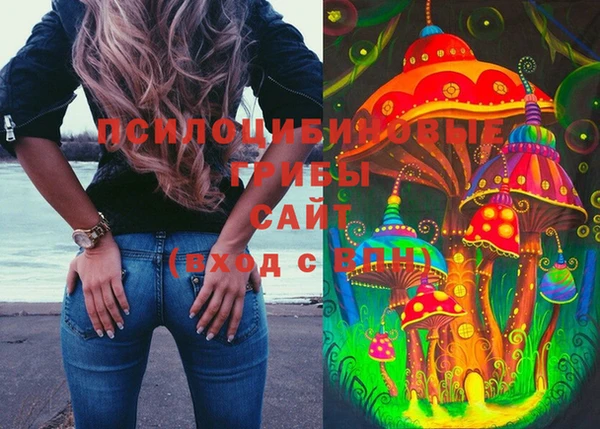 экстази Михайлов