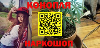 бошки Будённовск