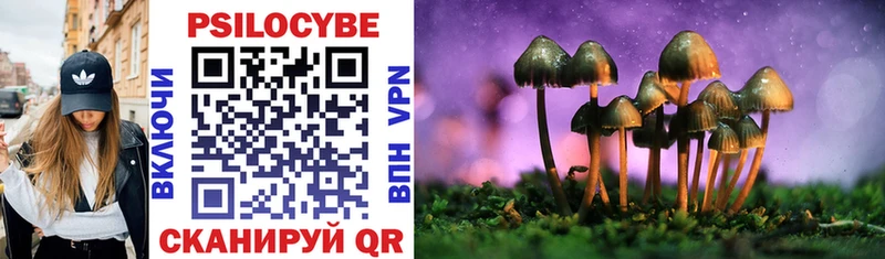 Псилоцибиновые грибы MAGIC MUSHROOMS  Воткинск 